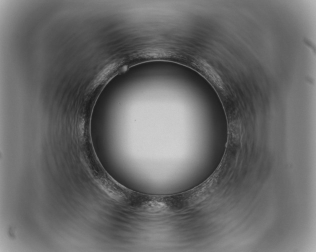 X0000098030159200803281417