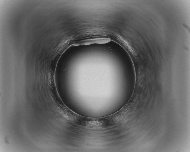 X0000098030161200803281417