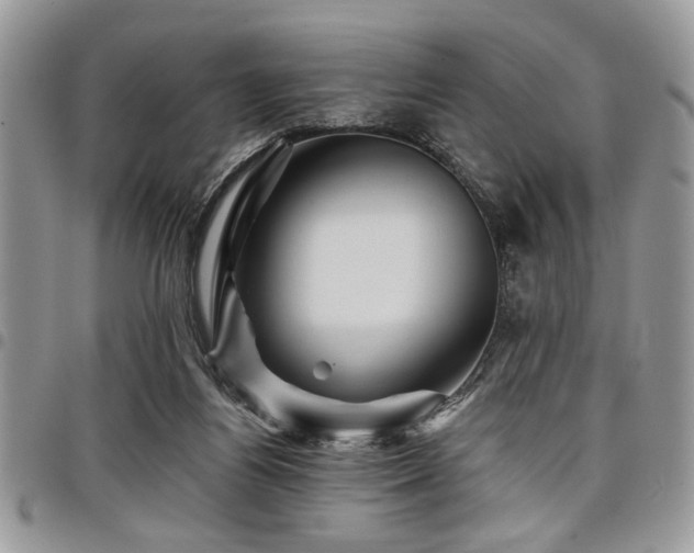 X0000098030164200803281417