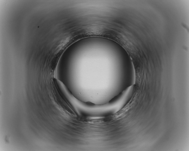 X0000098030168200803281417