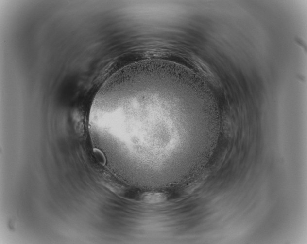 X0000098030169200803281417