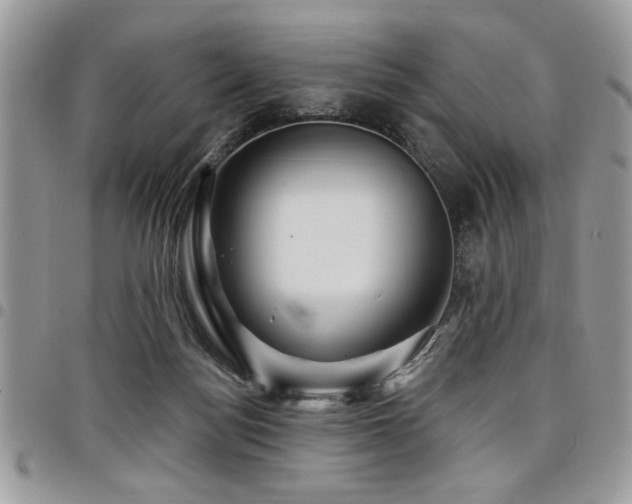 X0000098030172200803281417