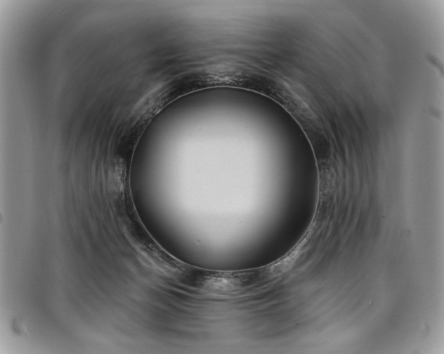 X0000098030174200803281417