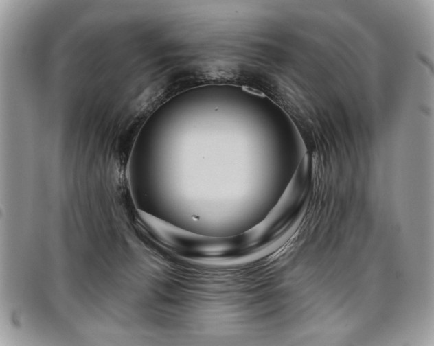 X0000098030176200803281417