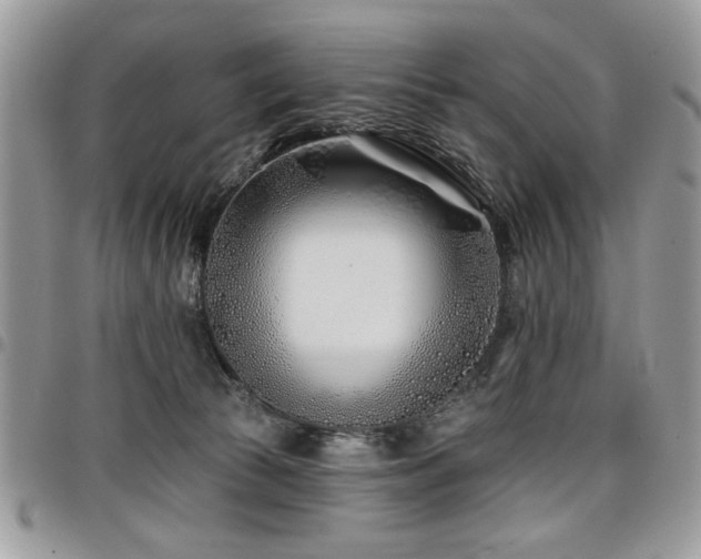 X0000098030177200803281417