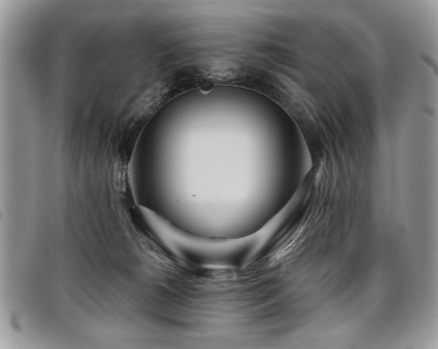 X0000098030180200803281417