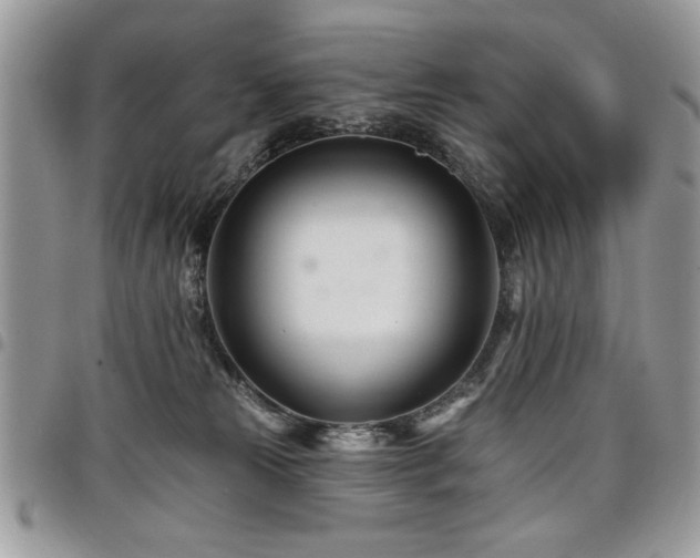 X0000098030181200803281417