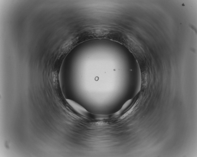 X0000098030184200803281417