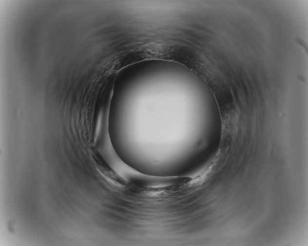 X0000098030186200803281417