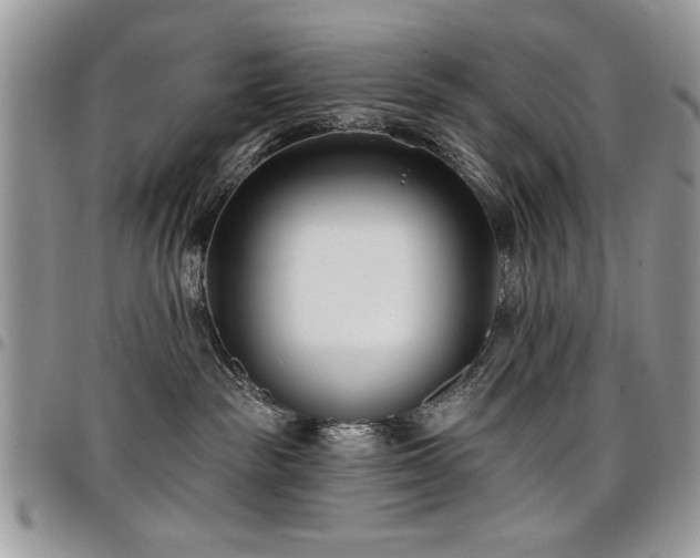 X0000098030189200803281417