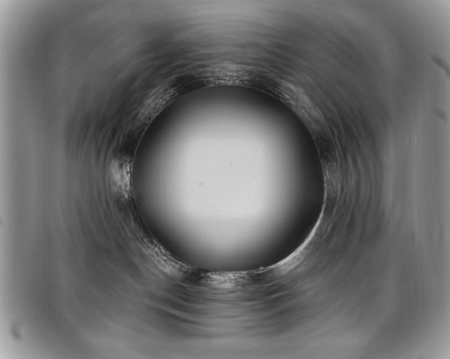 X0000098030190200803281417