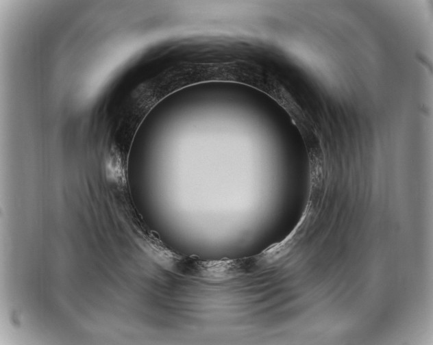 X0000098030191200803281417