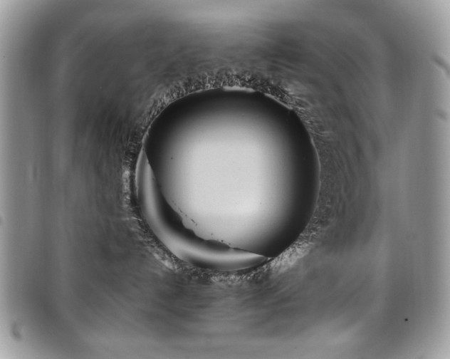 X0000098030192200803281417