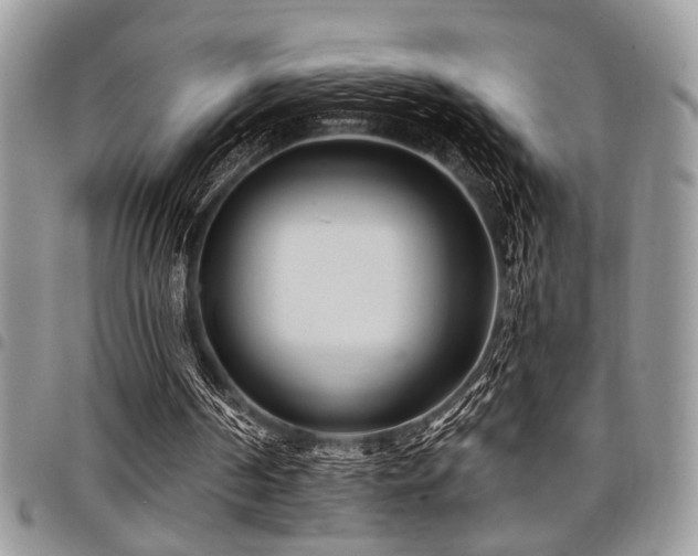 X0000098030194200803281416