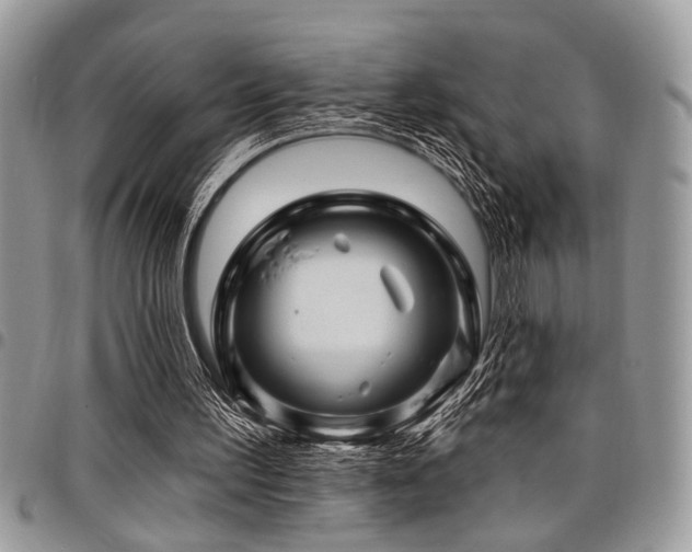 X0000098030195200803281416