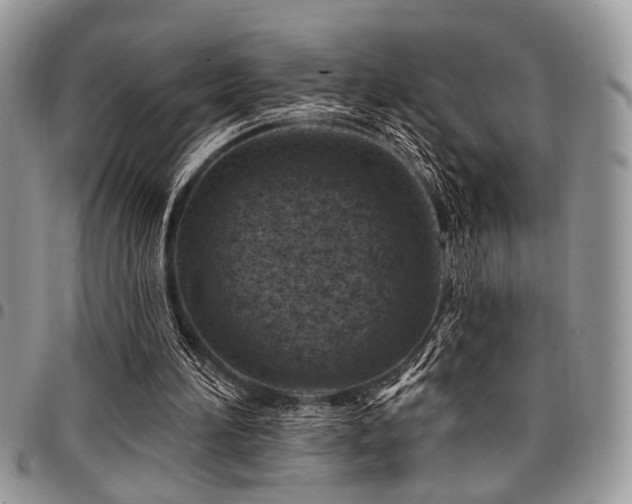 X0000098030196200803281416