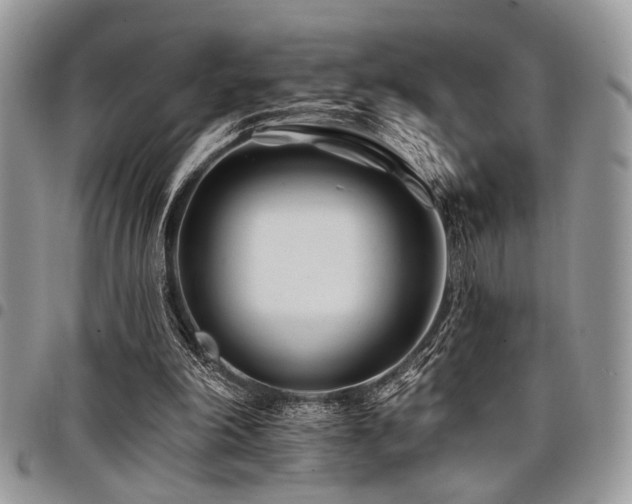 X0000098030198200803281416