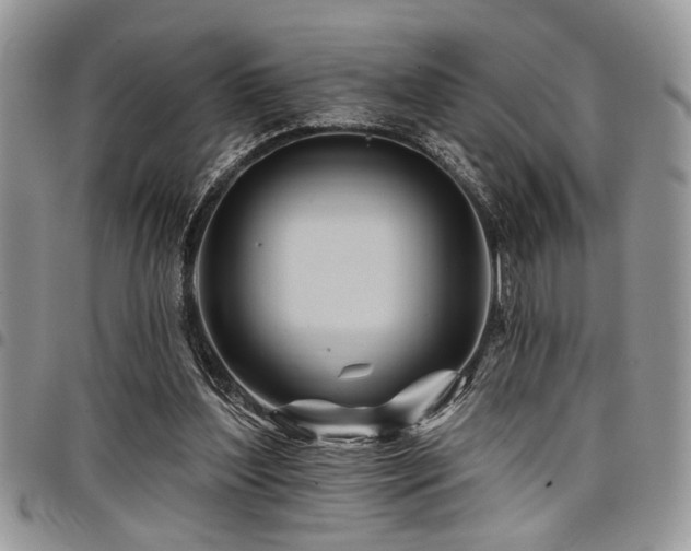 X0000098030204200803281416