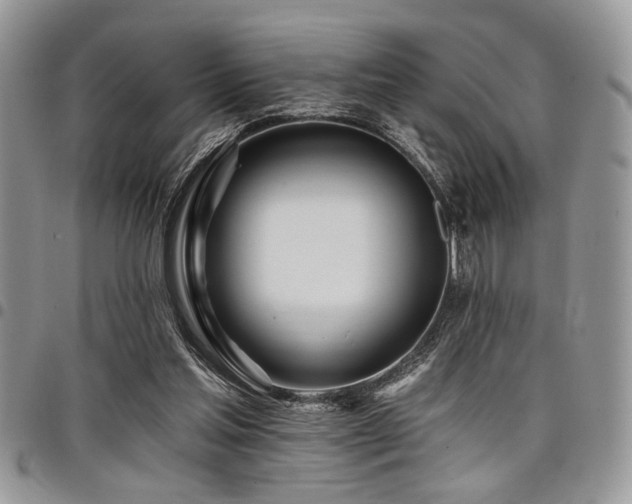 X0000098030205200803281416