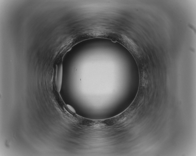 X0000098030210200803281416