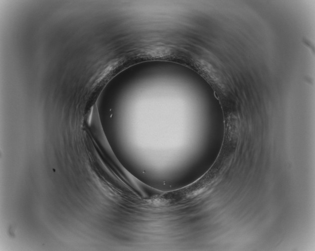 X0000098030212200803281416