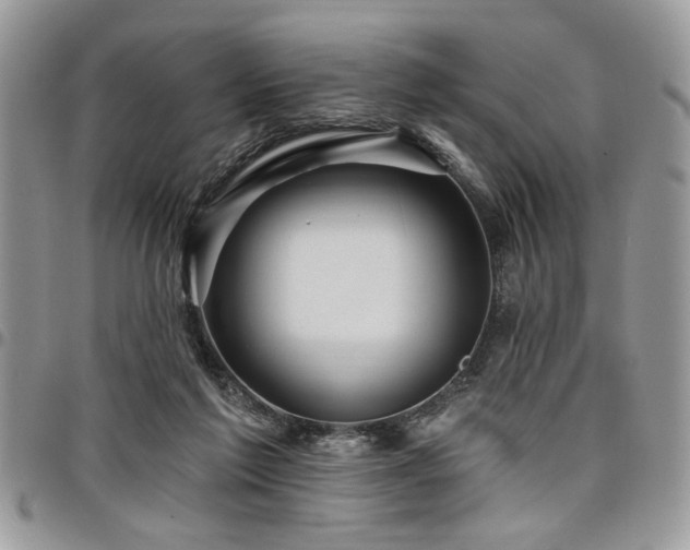 X0000098030213200803281416