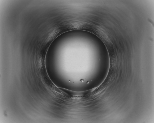 X0000098030216200803281416