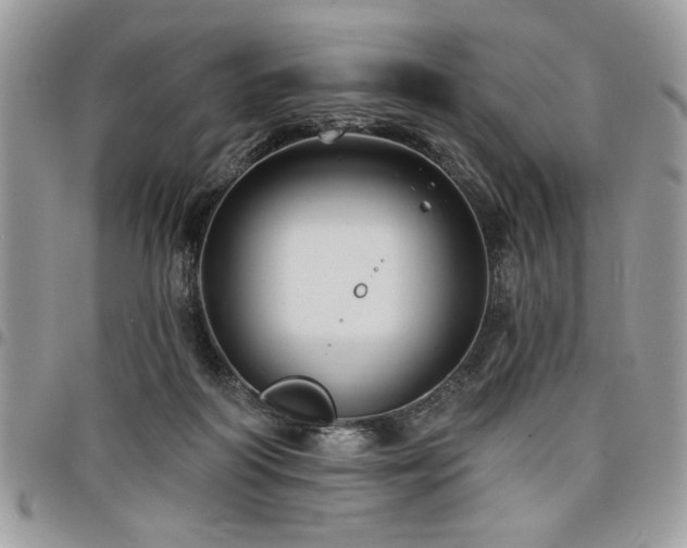 X0000098030218200803281416