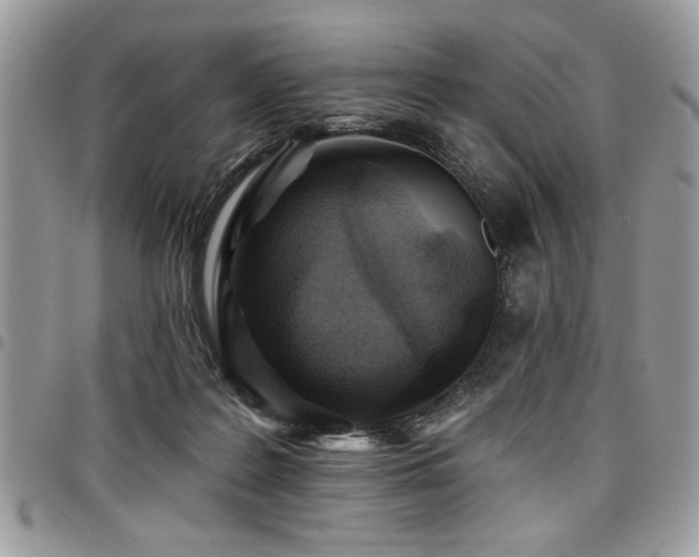 X0000098030219200803281416