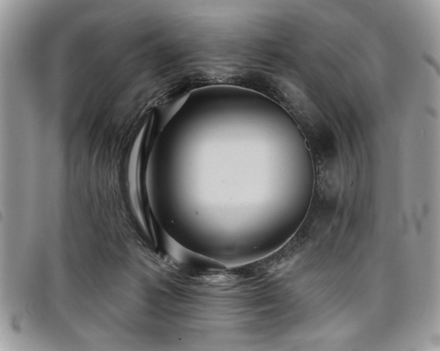 X0000098030221200803281416