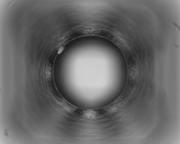 X0000098030226200803281416