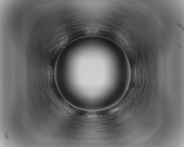 X0000098030228200803281416