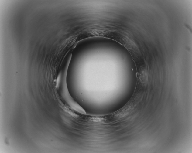 X0000098030233200803281416