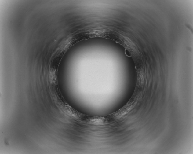 X0000098030236200803281416