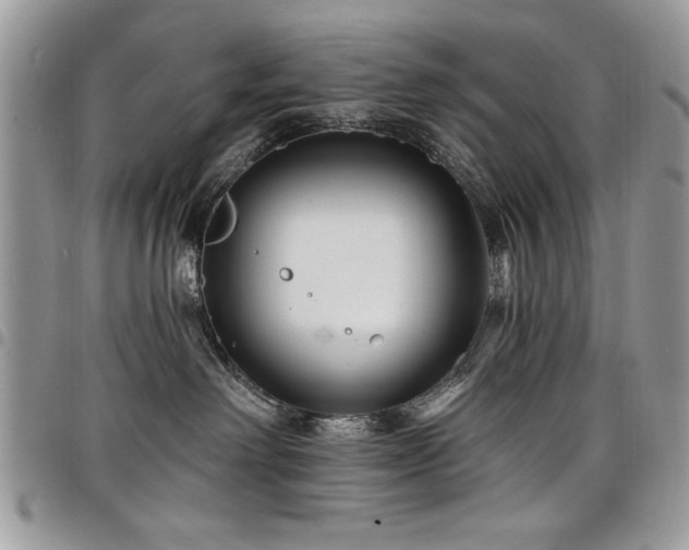 X0000098030238200803281416