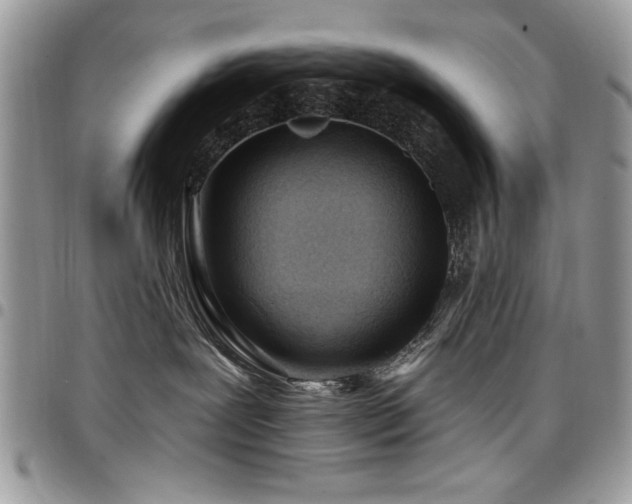 X0000098030239200803281416