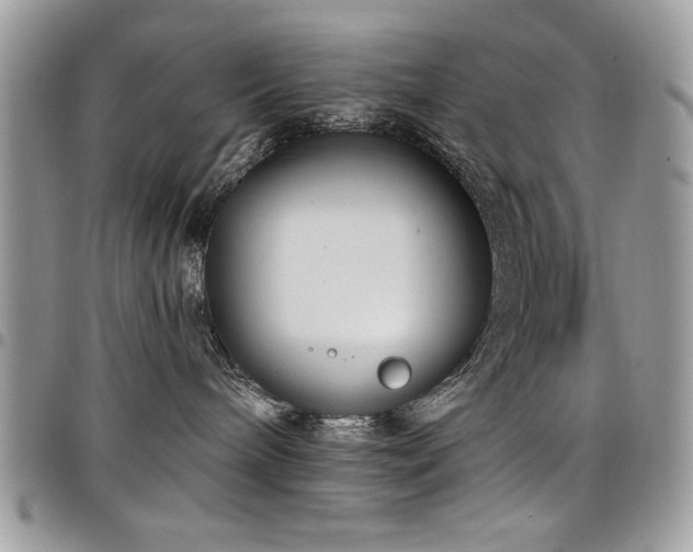 X0000098030240200803281416