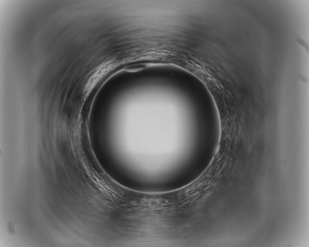 X0000098030242200803281415