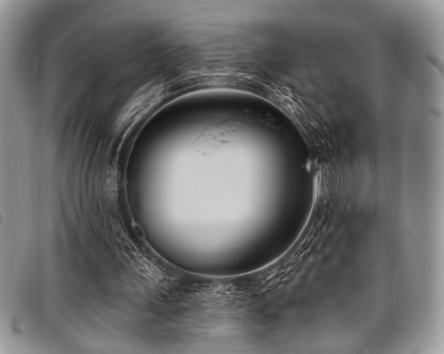 X0000098030243200803281415