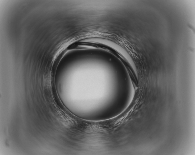 X0000098030244200803281415