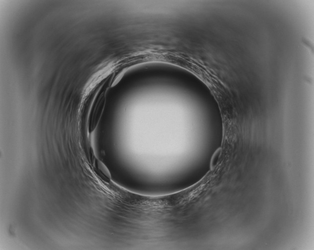 X0000098030245200803281415