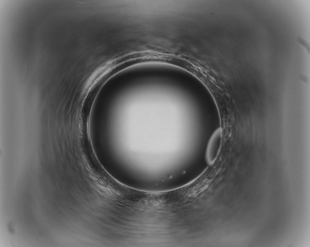 X0000098030247200803281415