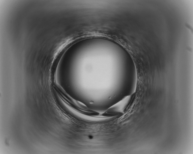 X0000098030248200803281415