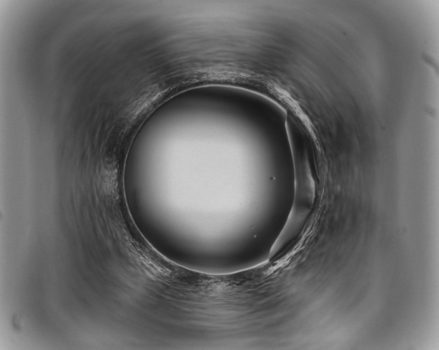 X0000098030249200803281415