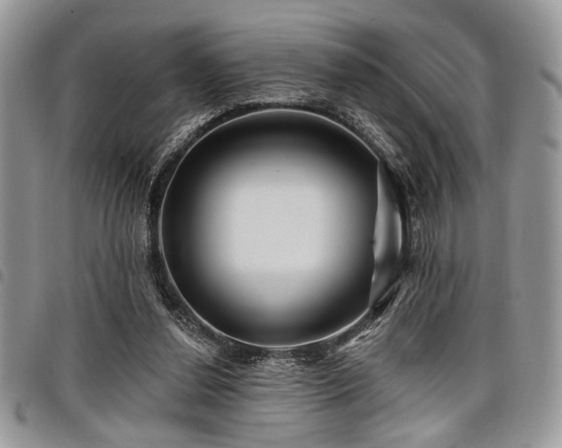 X0000098030252200803281415