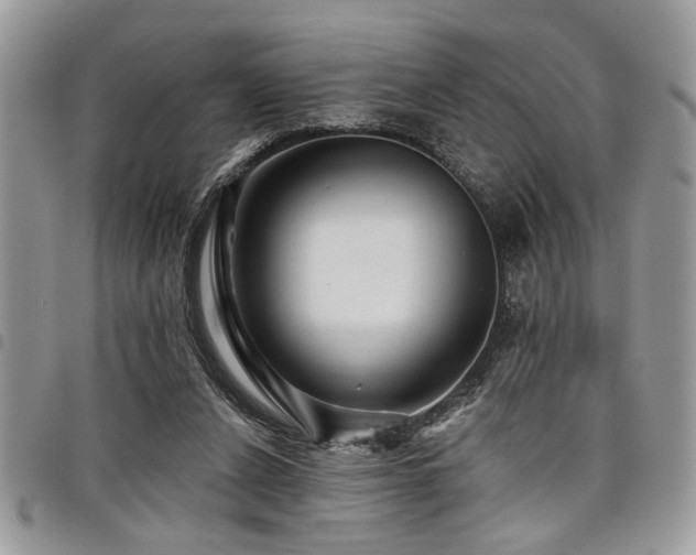 X0000098030256200803281415