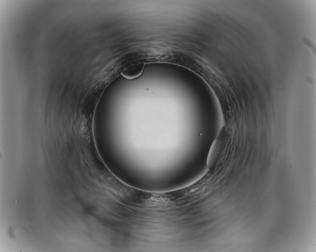 X0000098030270200803281416