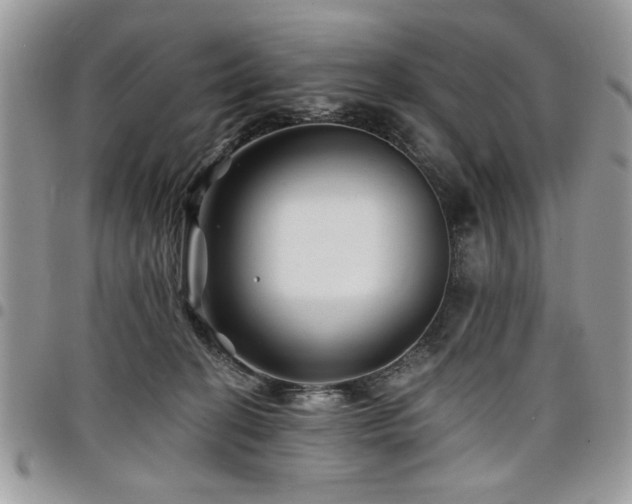 X0000098030274200803281416