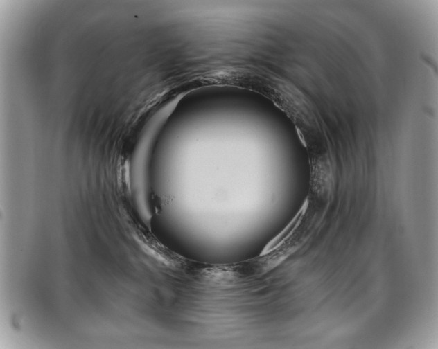 X0000098030284200803281416