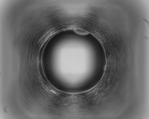 X0000098030290200803281415